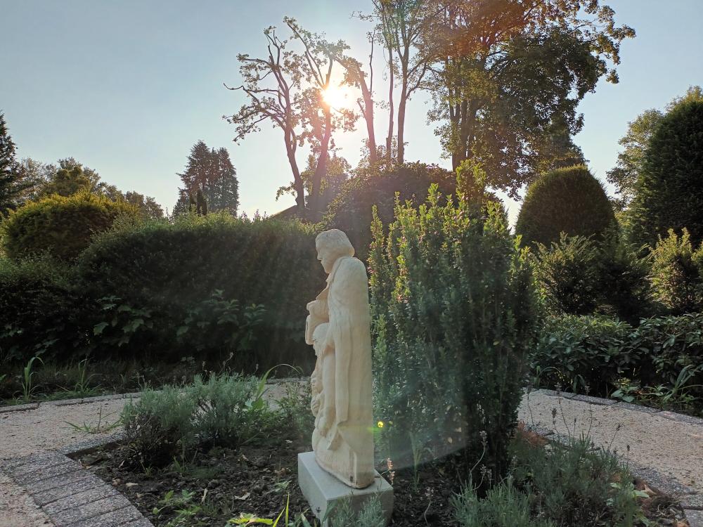 Besonderer Blick im Licht