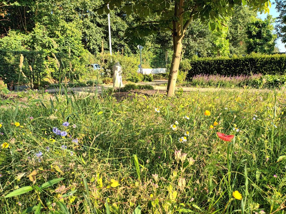 Blumenwiese und Kastanie